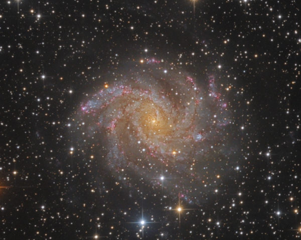 NGC 6946 in Cepheus