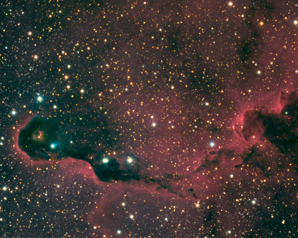 The Elephants Trunk Nebula (IC 1396A)