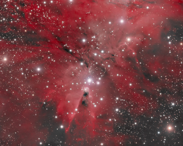 Christmas Tree Cluster (NGC 2264)